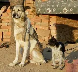 石拐岁月之上学那些事儿