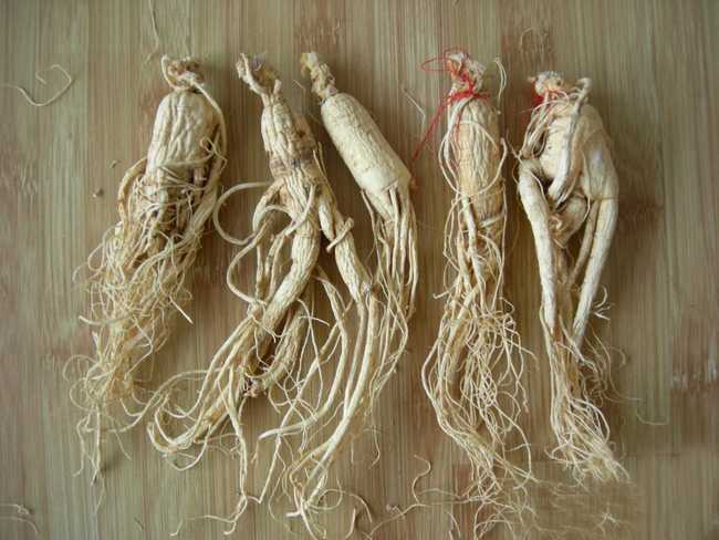 古中医讲人参,古今中药研究人参