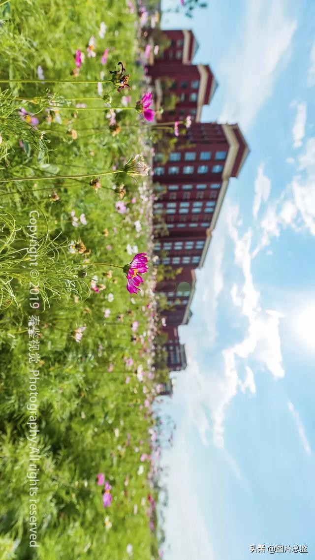 泾河新城是哪里,泾河新城的好处