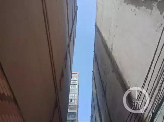 信阳学院女生被害案,河南信阳师范女学生死亡后续