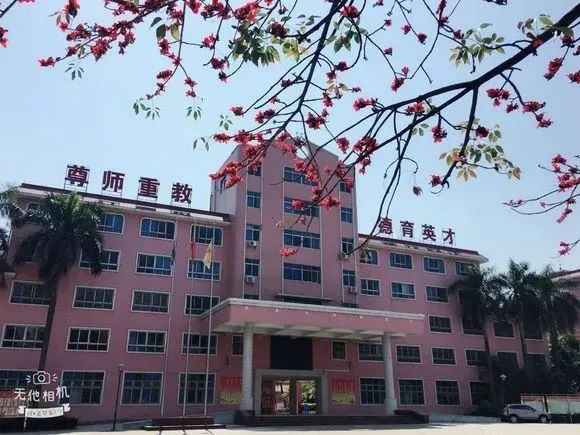 高职高考必看广州华商职业学院,高职高考复习资料广东推荐