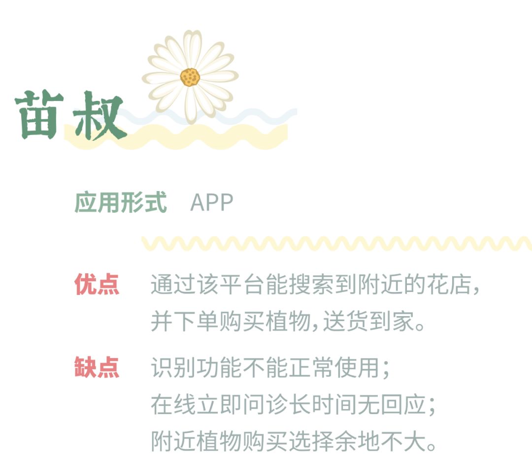 哪个识花软件最好用,识花app免费的哪个好