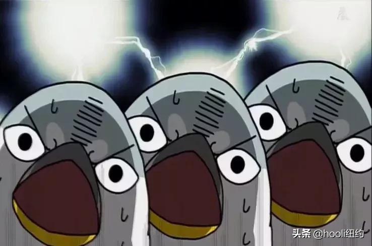 如何礼貌发教授邮件,如何有礼貌地给教授导师写邮件