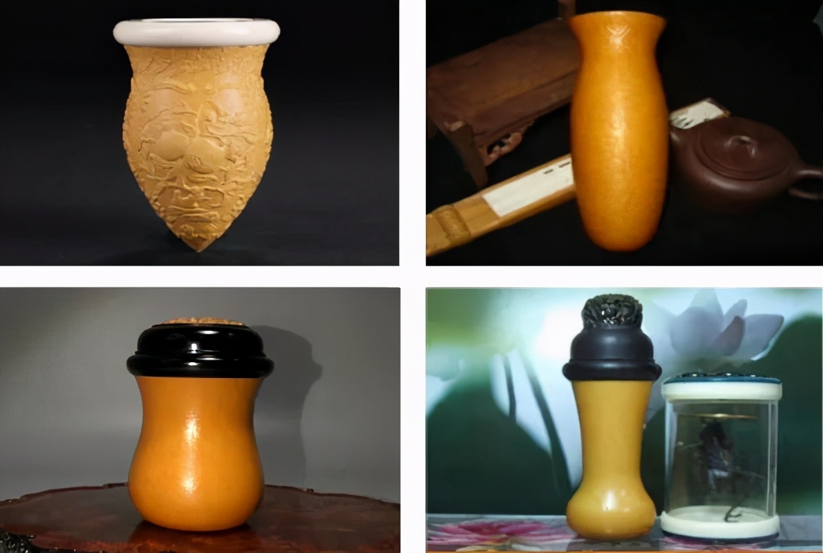 扎嘴鸣虫怎样饲养,吉尔鸣虫如何饲养