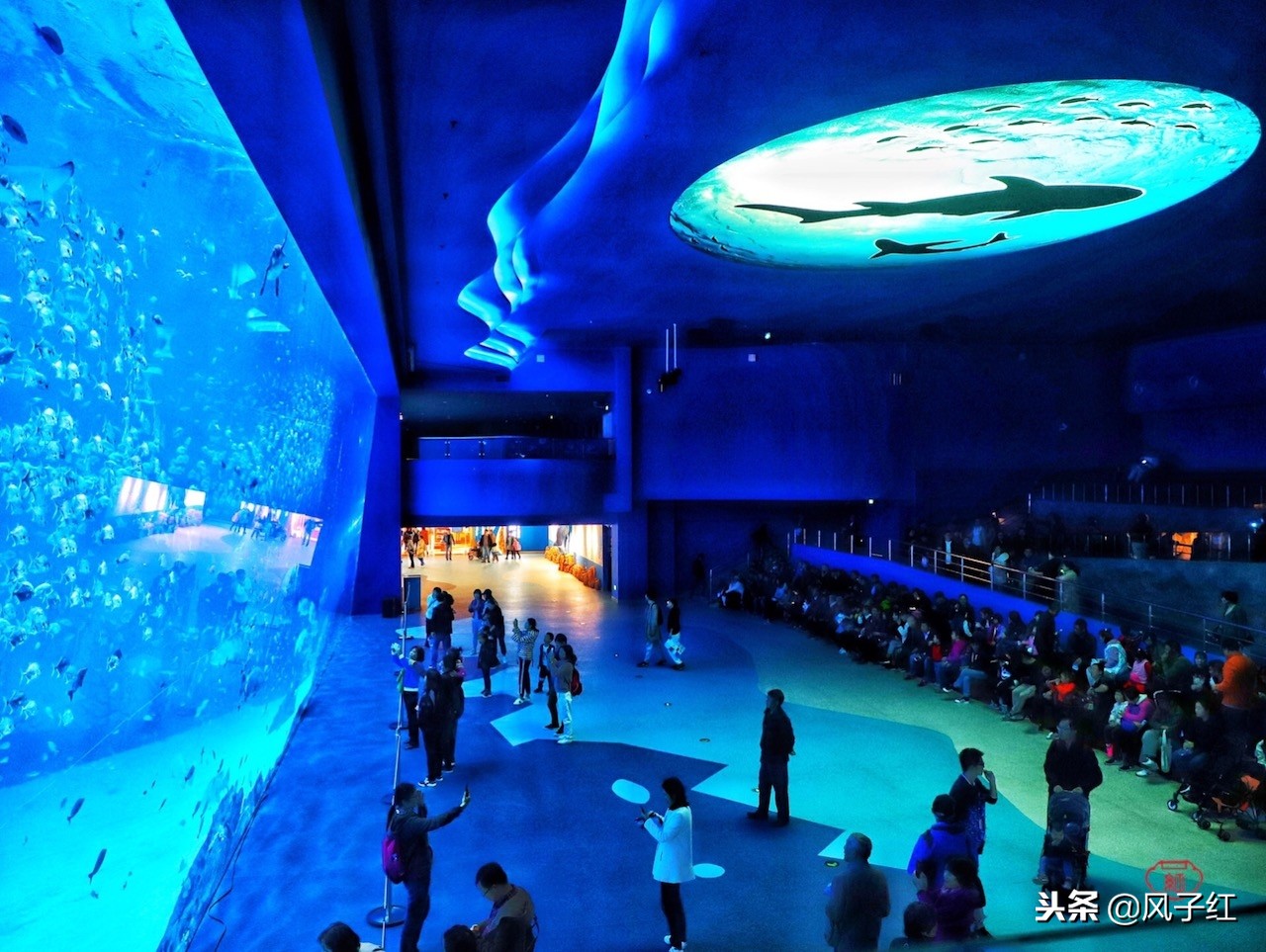 上海新地标丨海昌海洋公园一日游园玩法攻略