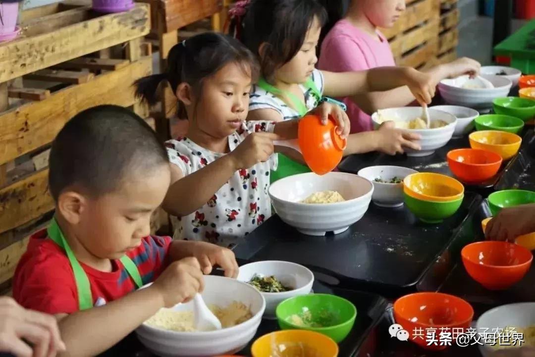 国内不太偏的亲子小众旅游 (全球最适合亲子游的十大旅游胜地)