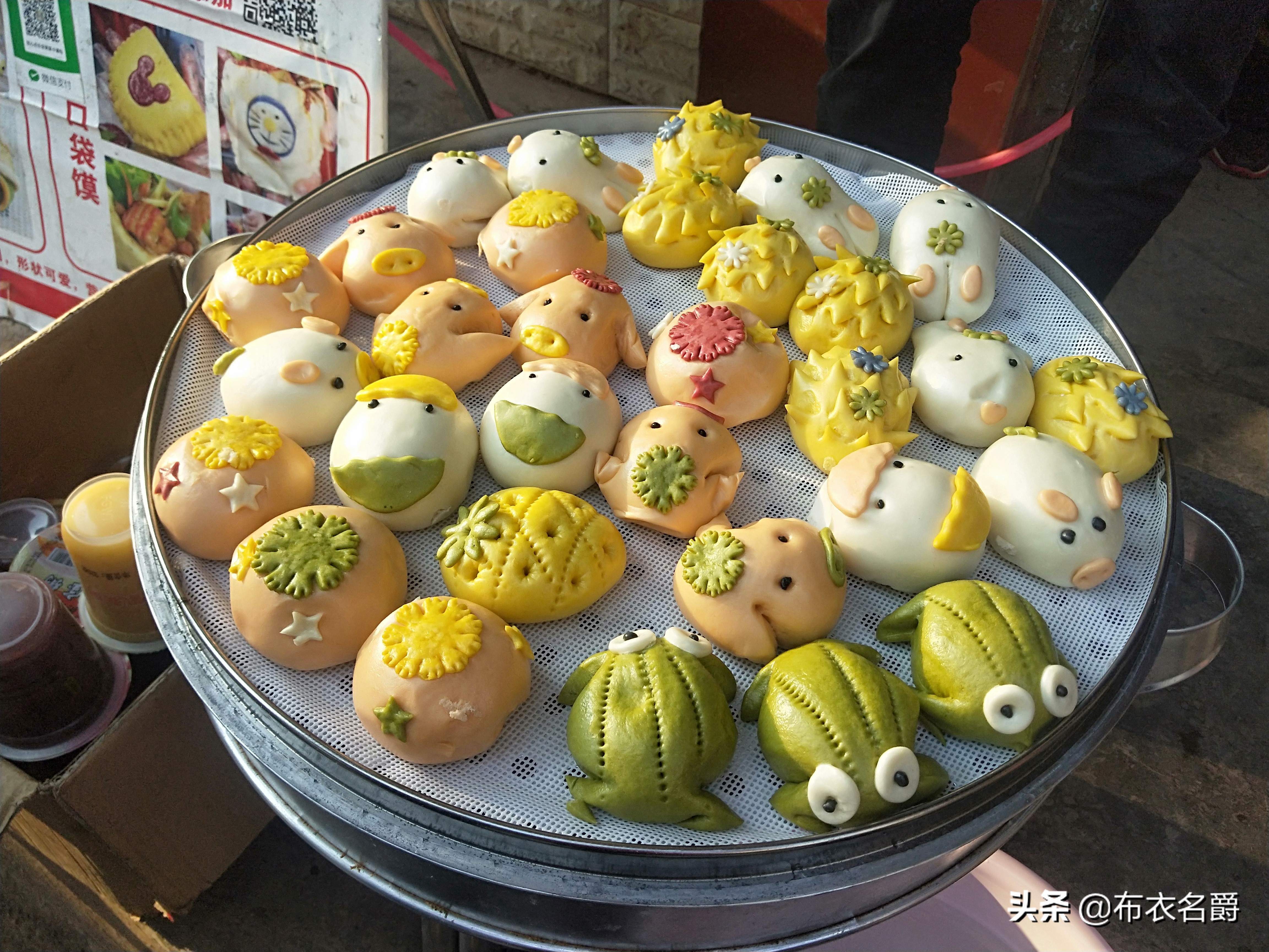 中兽医研究：中医药论治羊四季常见病