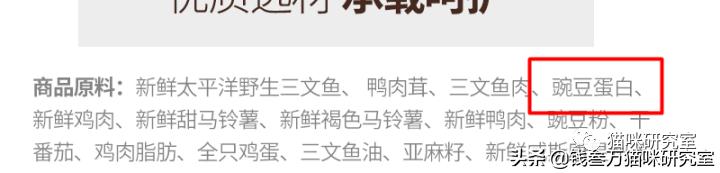 绿福摩猫粮为什么越吃越瘦,绿福摩猫粮适合什么猫