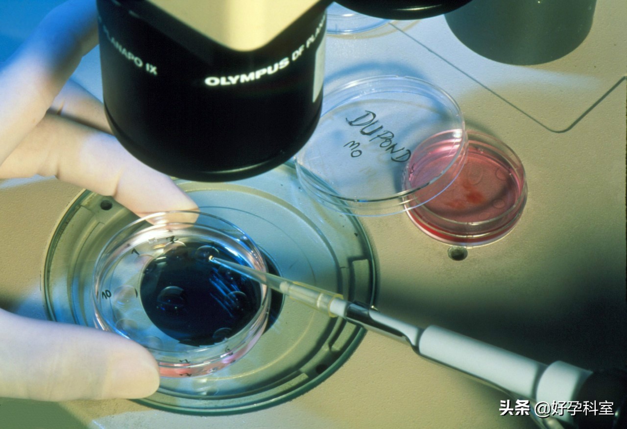 试管婴儿胚胎移植后到底要不要躺,试管婴儿植入胚胎后多久着床