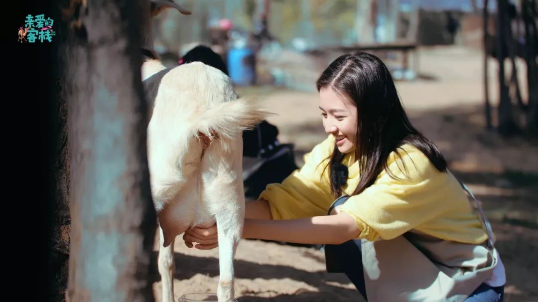 讲好黄河故事传承河洛文化,讲好黄河故事传承黄河文化内容