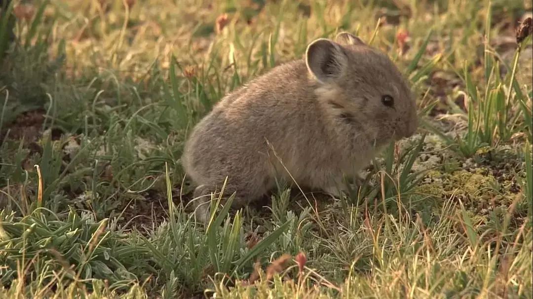 必看纪录片推荐建议收藏,推荐10部必看纪录片