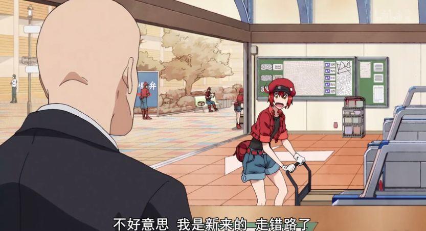 9.2分,半年后这么萌的片终于回来了