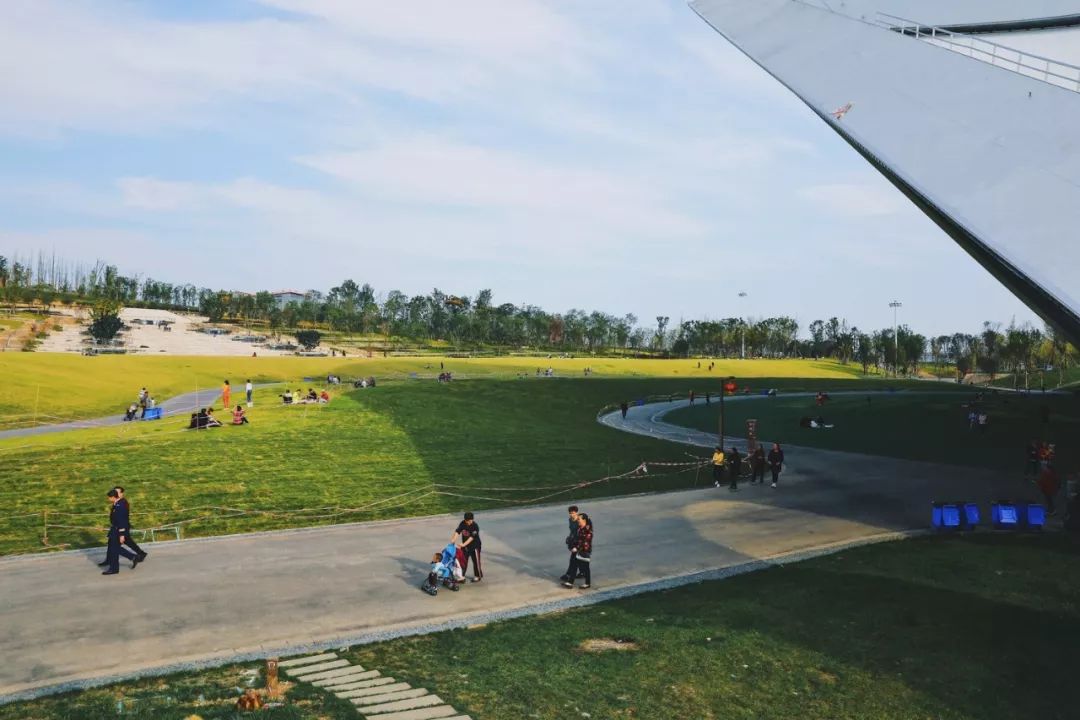 成都周末遛娃游推荐,遛狗公园成都