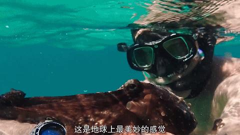 人鱼情未了在线阅读,人鱼情未了电视剧免费观看