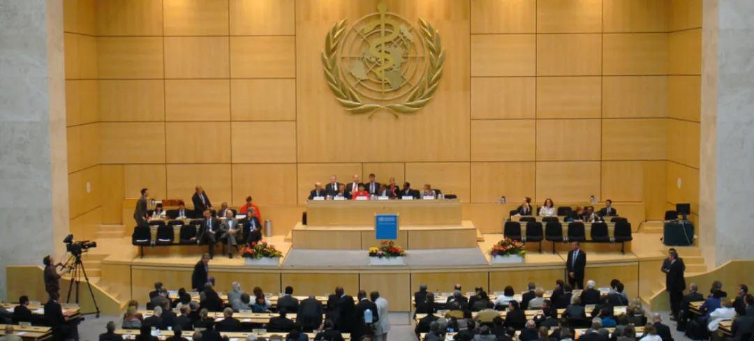 台湾舰长谈最新台海局势,中国教授分析台海