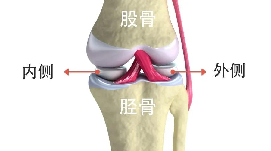 半月板损伤康复,儿童半月板损伤