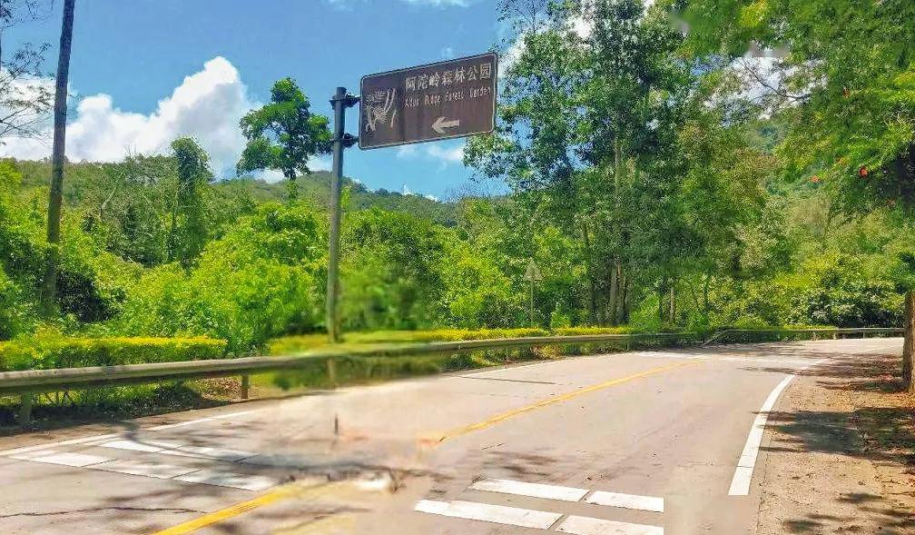 海南前十名的山岭,海南岛上有什么山脉