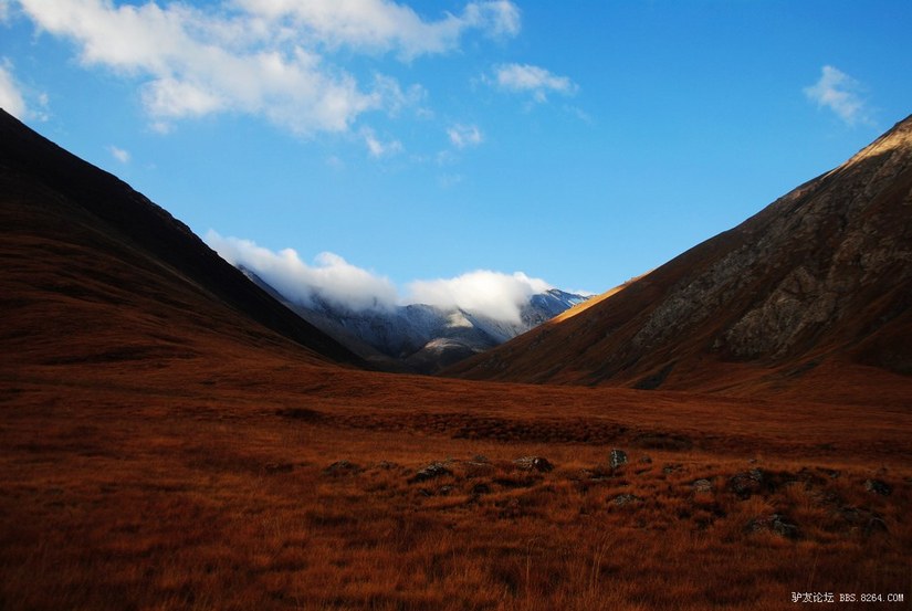 狼c调简谱教唱,狼c