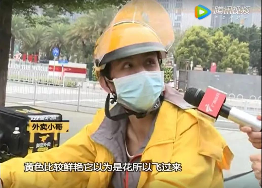 咬人很痒的小黑虫有哪些,小黑虫子咬了奇痒无比是什么虫