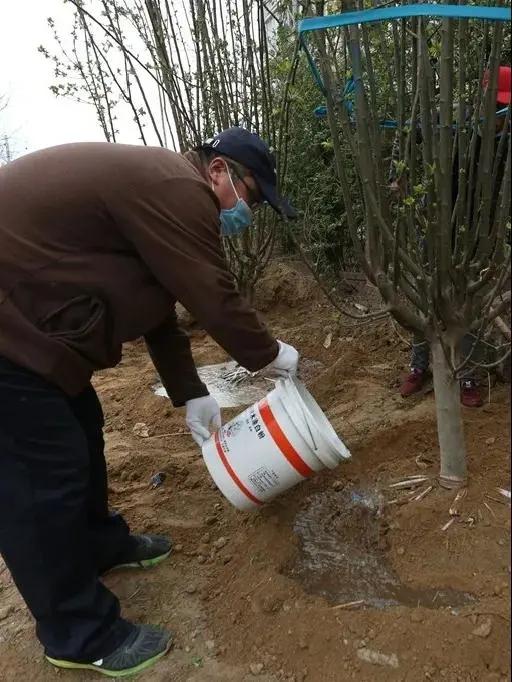 我为群众办实事微心愿,我为人民群众办实事工作计划