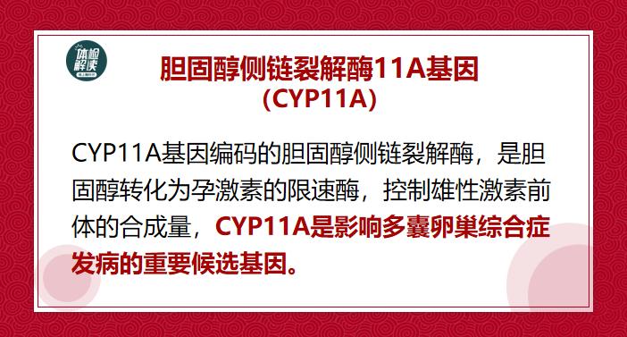 多囊卵巢检查报告,多囊检查12项