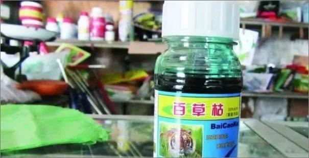13岁女孩喝下百草枯后续最近消息,13岁女孩喝下百草枯事件全过程
