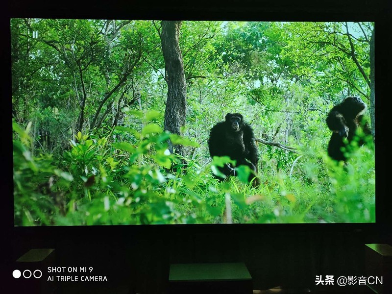 FIBBRUltraPro2众测(2):一次颠覆我认知的换线