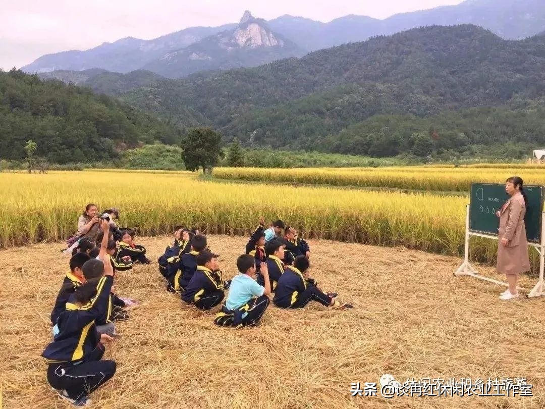 疫情过后哪些产业发展潜力大,疫情下的农村产业发展现状