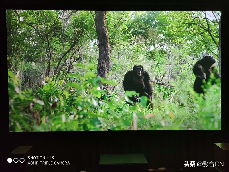 FIBBRUltraPro2众测(2):一次颠覆我认知的换线