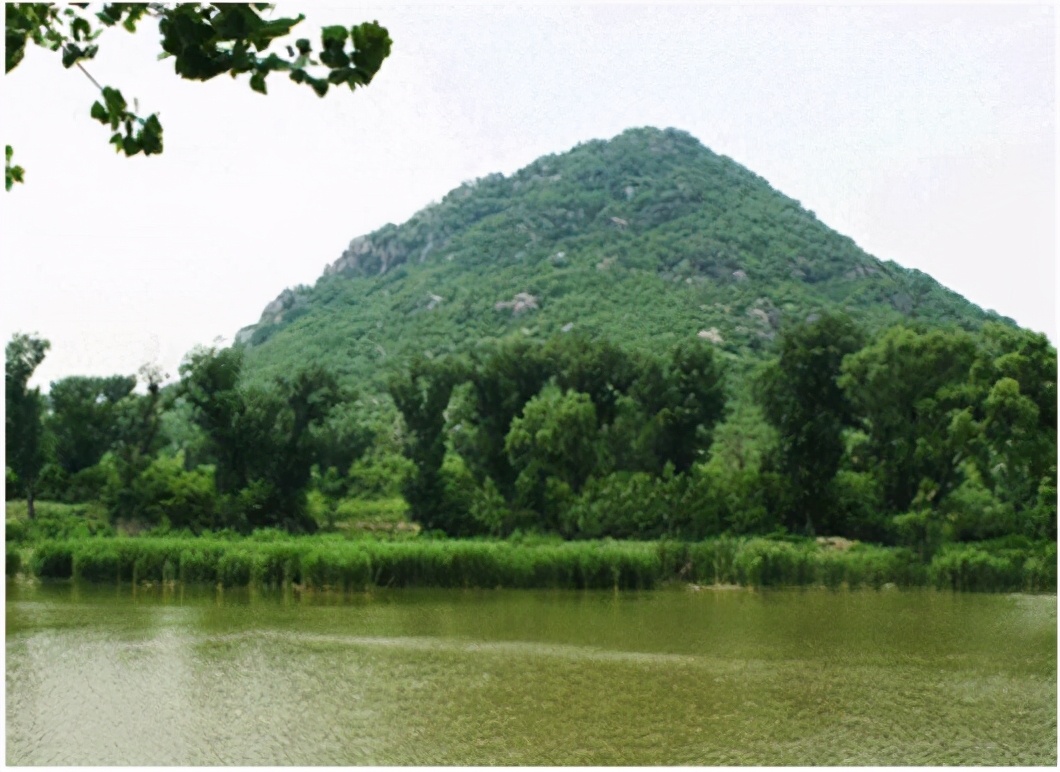 五龙潭畔花店街——鲁安济南忆旧系列之六十二