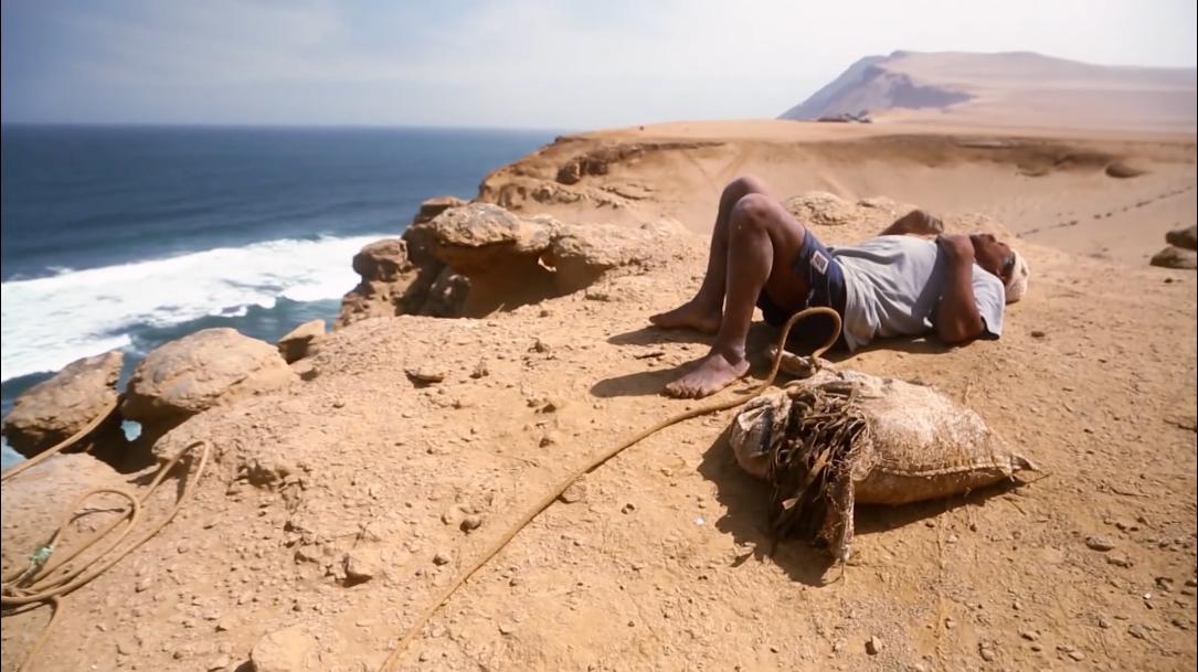 66岁渔民打鱼,60岁渔民捕鱼