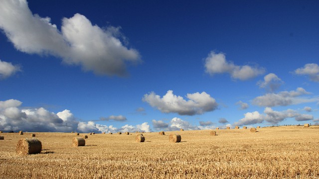 增强自己信心的励志句子，句句充满哲理，送给孤独的自己