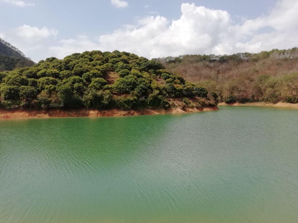 岭南明珠之秀丽高州