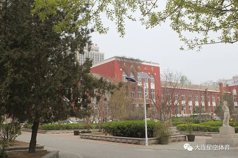 东北小学校园足球赛,全国少年足球比赛直播