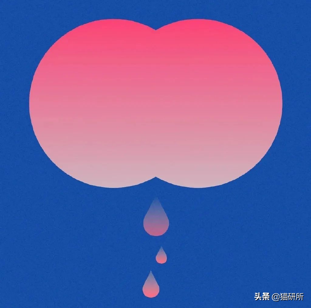 猫咪会长毛囊炎吗,猫咪会长老年斑吗