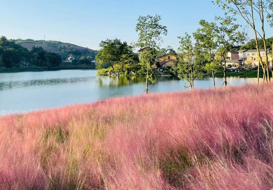 重庆主城网红打卡地景点推荐,重庆新网红地打卡