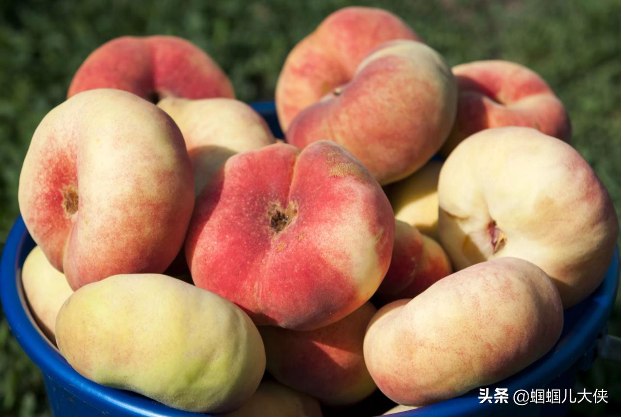 所有的新疆特产,旅游从新疆带的特产