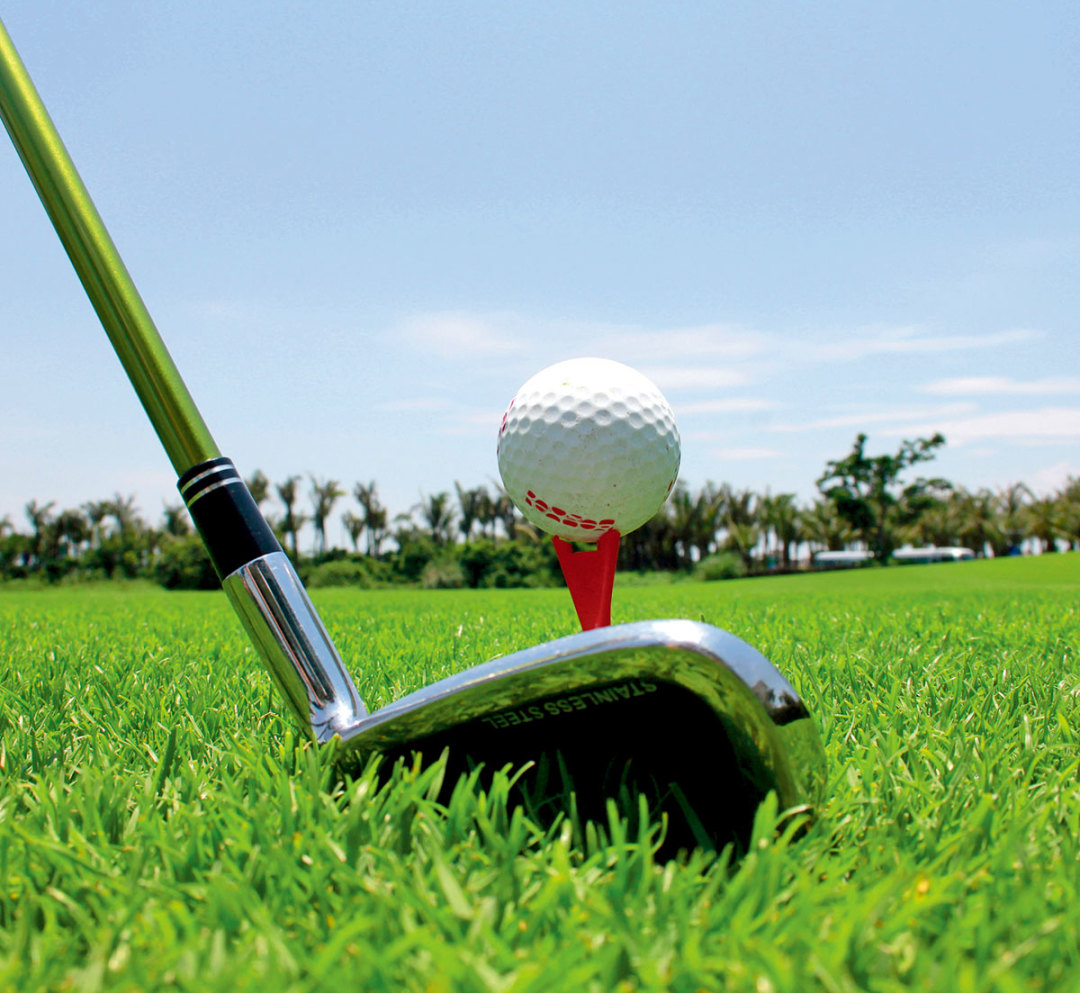 一年亏损600万元，整改过关又倒闭，海南高尔夫球场“变身”放牛场