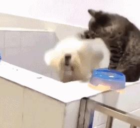 国产鞋都是怎么制造,国产鞋怎么能这么便宜