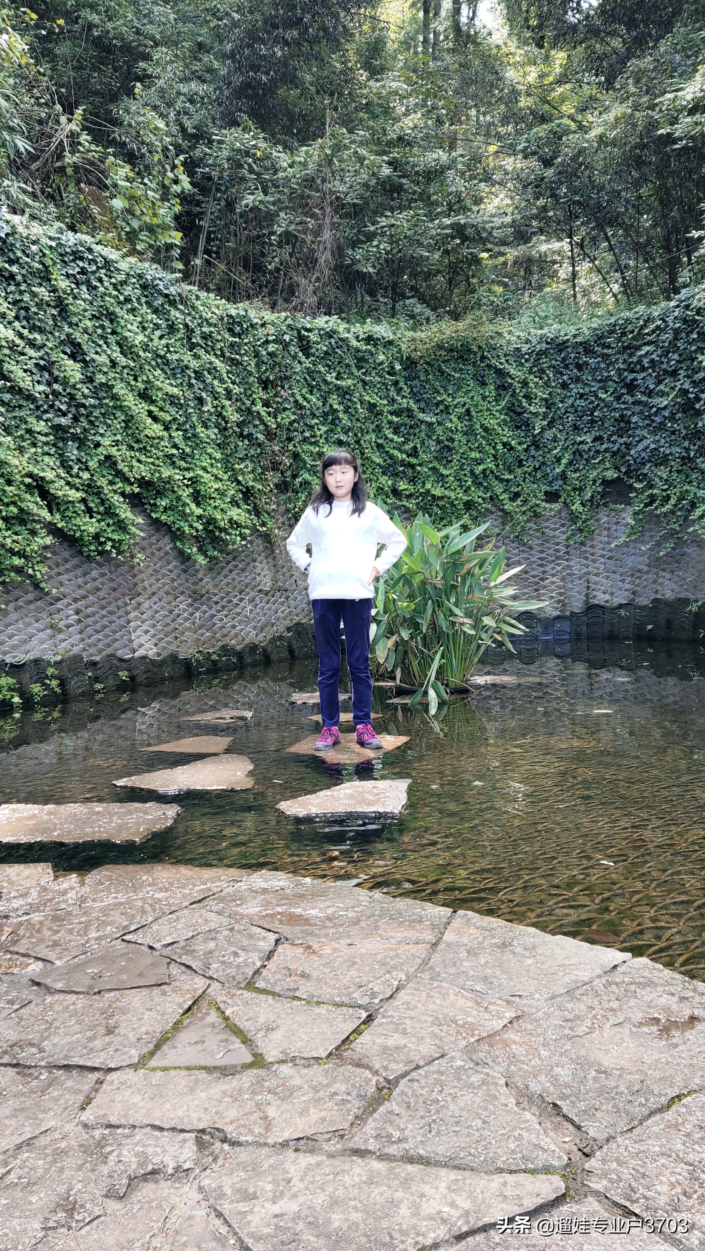 从茶马花街到西山龙门的旅游路线,西山森林公园旅游攻略一日游价格