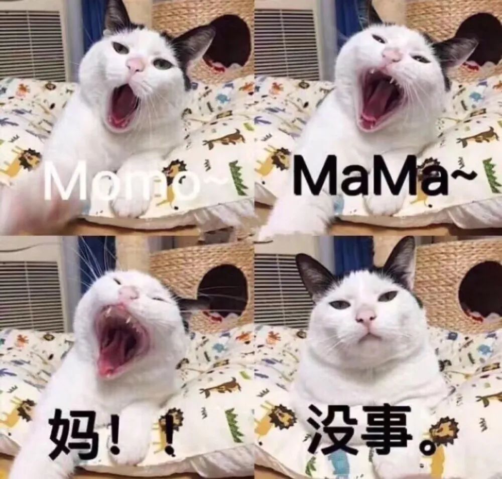 母亲节借势文案汽车,母亲节感恩婆婆的走心文案