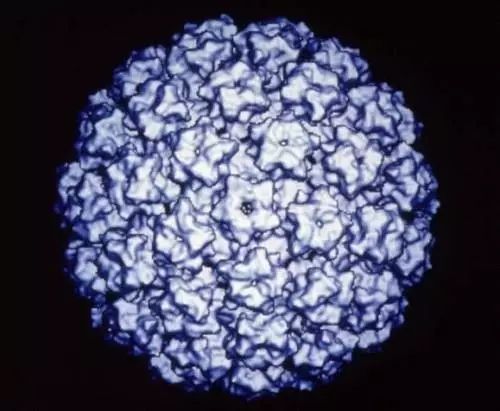 张文宏：家有女孩，HPV疫苗要早点打，但这些细节你必须知道