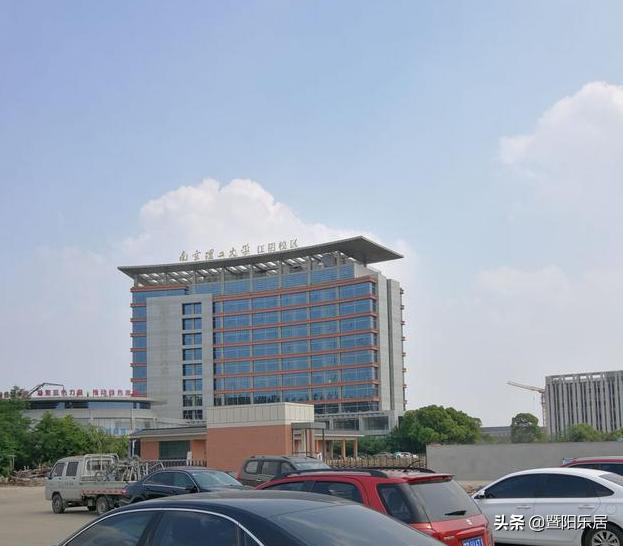 看不懂的临港，摊不完的“大饼”