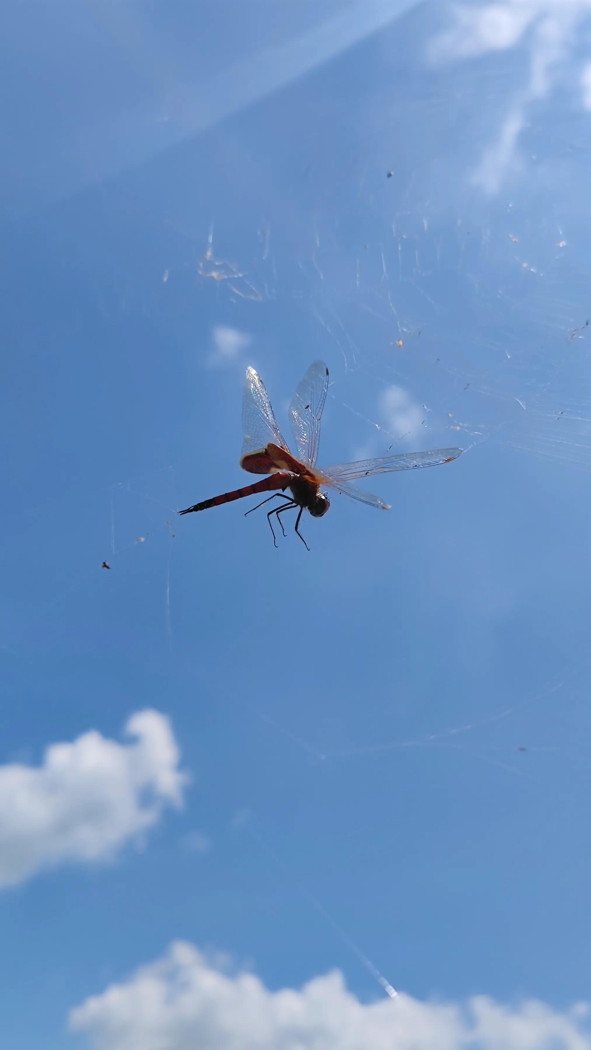 手拍世界投稿,手拍世界作品专集