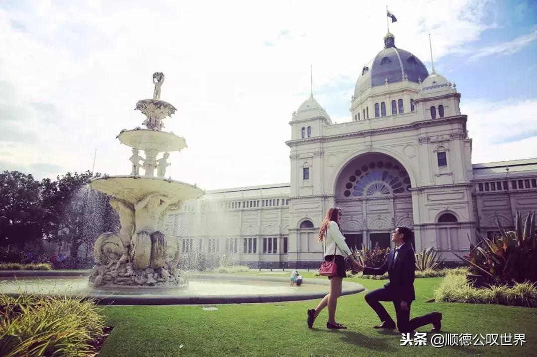 火遍佛山的“移动澳洲贩卖机”来顺德了!N多礼品免费送!