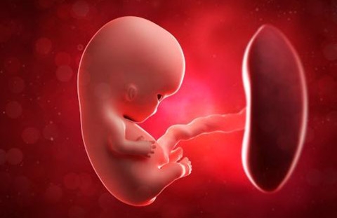 新冠病毒，几乎“解锁”了所有感染途径