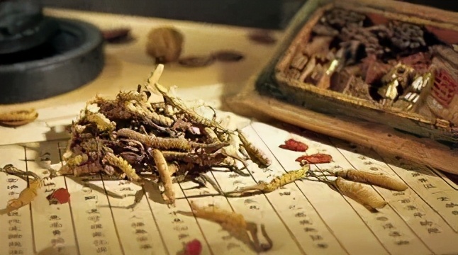 中药治疗胃动力最好的药,中药胃肠动力药