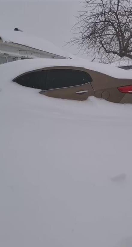 浴血奋战严寒,内蒙古通辽遭遇雪灾