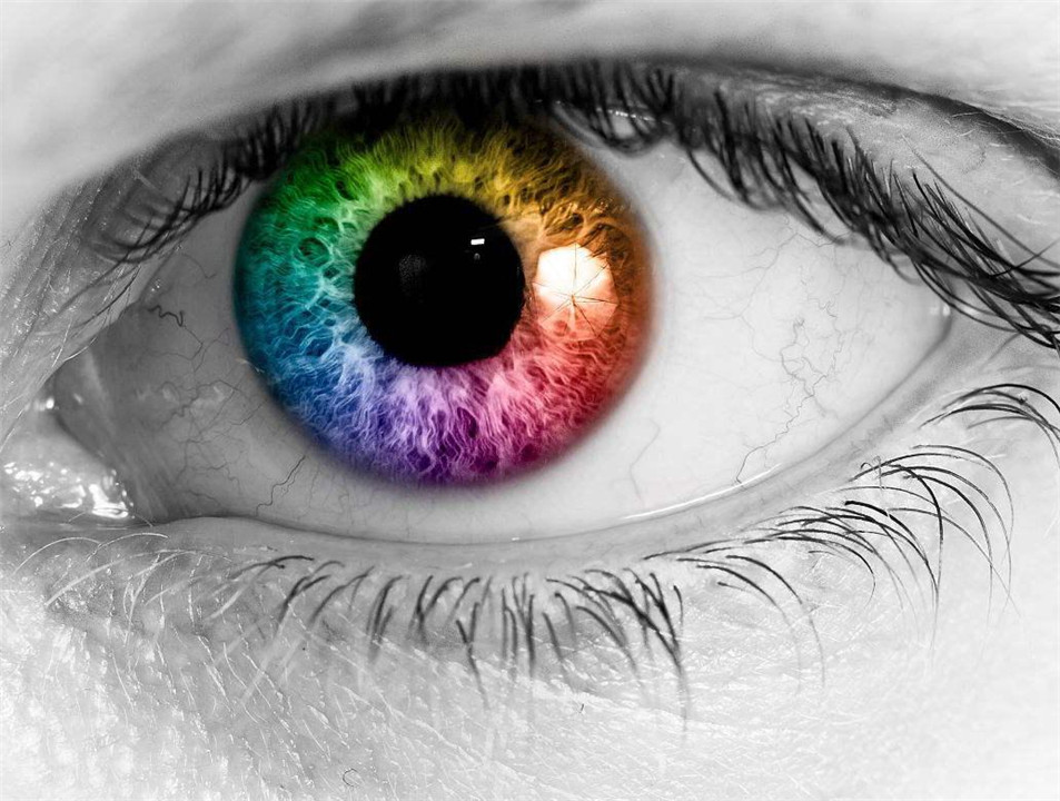 色盲与正常人眼中的世界的区别,色盲和普通人眼中的世界对比
