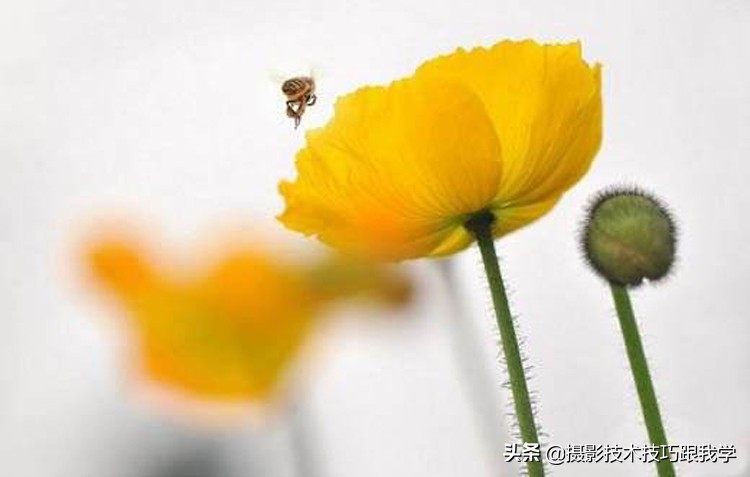 第二只镜头24-70和70-200选哪个,70-200第二代和第三代镜头怎么选